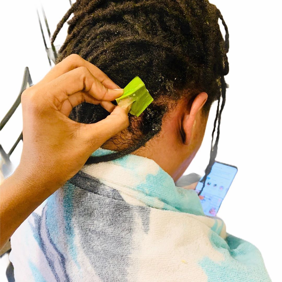 Smart Opportunities of Aloe Vera for Hair Based on Science - Hair Adviser